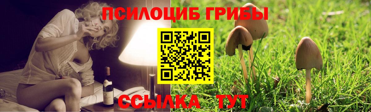 Кольчугино  Псилоцибиновые грибы ЛСД  что такое   Вход с VPN 